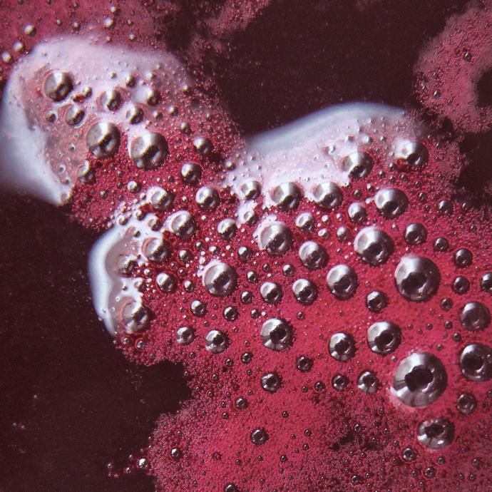 Bubbles on surface of maroon liquid